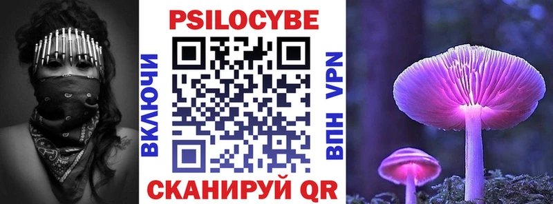 сколько стоит  Верея  мега сайт  Галлюциногенные грибы Psilocybe 